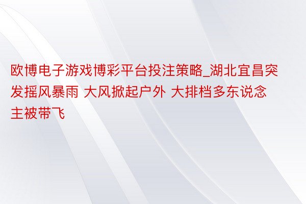 欧博电子游戏博彩平台投注策略_湖北宜昌突发摇风暴雨 大风掀起户外 大排档多东说念主被带飞